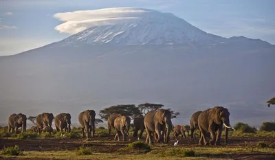 Africa faces dire consequences with rising temperatures, expert warns | Crux