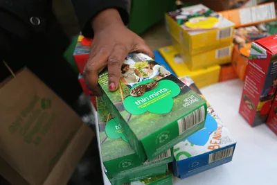 Girl Scouts Facing Lawsuit after Study Finds Metals, Pesticides in Cookies