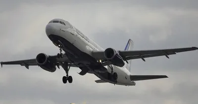 Officials find two bodies in JetBlue plane wheel well