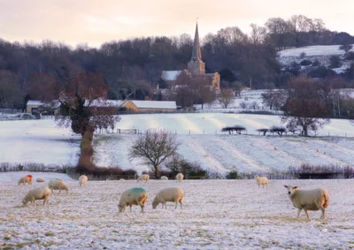 Church of England launches £15m fund to help churches cover soaring energy costs