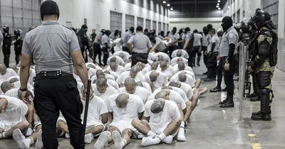 Trump administration deports gang members, despite court order