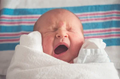 Democrat Resigns after Saying Babies with Disabilities Need to be Aborted to Save Schools Money