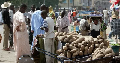 50 Nigerian Christians Slaughtered, Including Women and Children