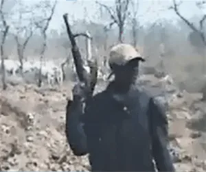 Herdsmen Kill Christian at Worship, 30 Others in One Day - Morningstar News