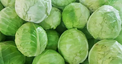 Traffickers Hide 2K Pounds of Meth in Cabbage