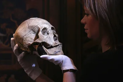 Archaeology Professor Resists Push to Omit Gender When Identifying Human Remains