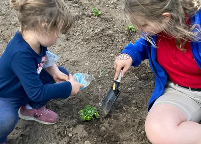 Parish gardens’ green thumbs, record-breaking harvests feed the hungry