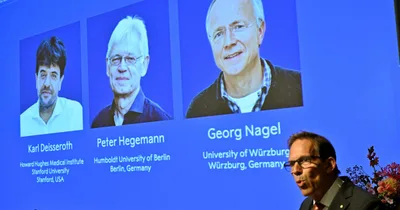 Nobel in medicine given to American, Germans for brain study
