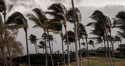 Hawaii Faces New Tropical Storm, One Week after Hurricane Lala