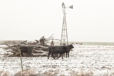 No, Bill Gates and Joe Biden Didn't Cause the Texas Winter Storms - RELEVANT