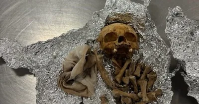 Airport Officials Confiscate Apparent Human Bones during Tampa Bag Check