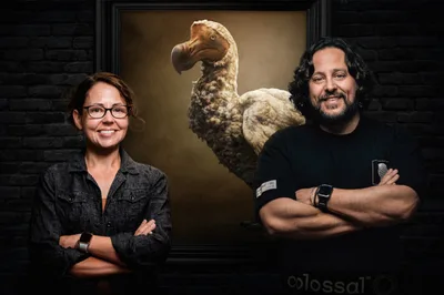 A 'De-Extinction Company' is Working to Bring Back the Dodo Bird - RELEVANT