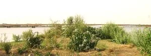 Displaced Christians in Sudan Sentenced to Prison - Morningstar News