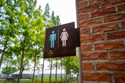 'Biological sex' is 'fundamentally important', Says Rishi Sunak
