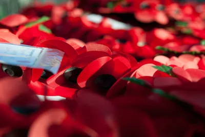 Army Wants Remembrance Day to Be Less Christian - Report