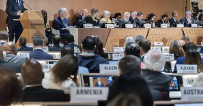 U.S. Finalizes Break with World Health Organization