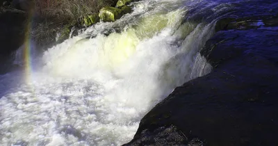 Two missing, one dead after group swept over Oregon waterfall