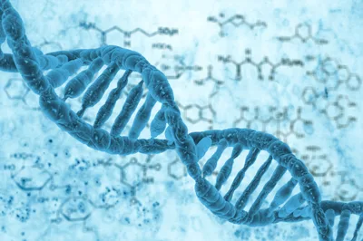 Ancient DNA said to support Bible's Babel account | Baptist Press