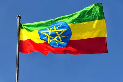 Pope Francis appoints apostolic visitor for Ethiopian Catholics in US and Canada