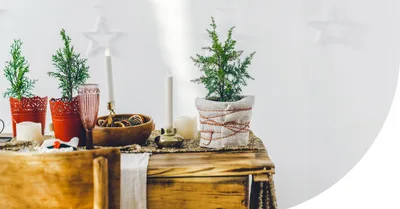 Feasting Without Fasting Makes You Sick