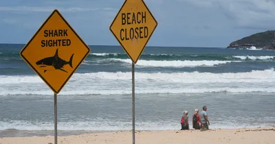 Australian beaches close after string of shark attacks