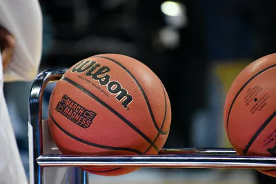 South Carolina women's basketball coach says national championship was 'divinely ordered'