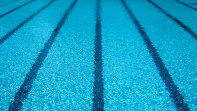 UPenn Transgender Athlete Dominates Women's Swimming, Sparks Outrage After Destroying Records