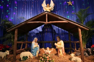 Many Have Gone Astray Preparing for Christmas