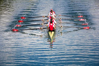 FIRST-PERSON: Building effective team structure | Baptist Press