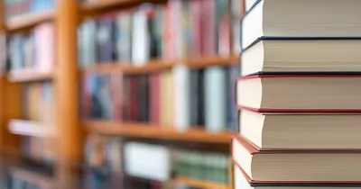 County Library Board in Tennessee Fires Director over Explicit Books