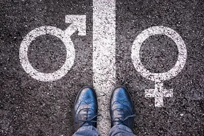 ‘Gender support’ Plans at School: Here’s What Parents Need to Know
