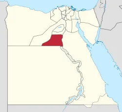 Coptic Christian Family Attacked in Upper Egypt; Adult Son in Intensive Care - Morningstar News