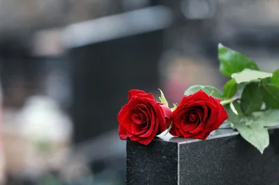 Ukrainian cemetery near Baltimore vandalized day before Russian invasion