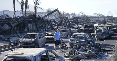 Hawaii Launches Investigation into Wildfire Response
