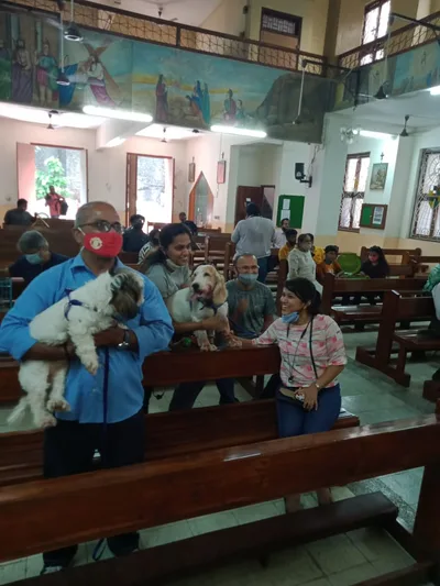 Priest says pets provided ’emotional support’ during COVID-19 pandemic | Crux Now