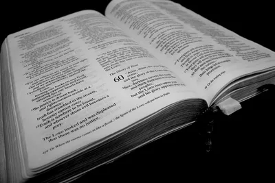 Will Preaching God's Word Soon be Illegal?