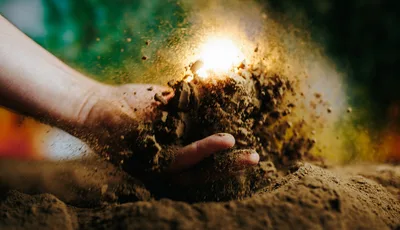 The wonder beneath our feet