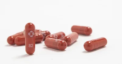 FDA advisers endorse Merck’s COVID-19 pill