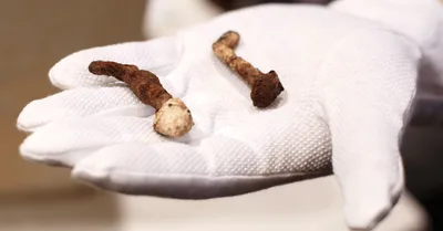 Was Jesus Crucified with Nails?