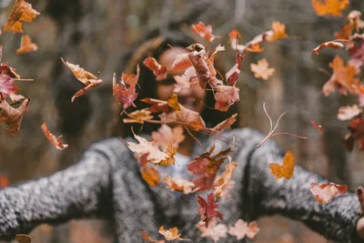 The Fruit of the Spirit: Joy