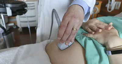 Illinois Abortion Referral Mandate against U.S. Law, HHS Says