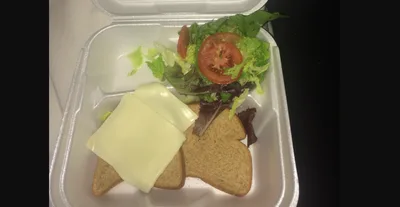 The Infamous Fyre Fest Sandwich Pic Is Being Auctioned as an NFT to Pay for a Kidney Transplant