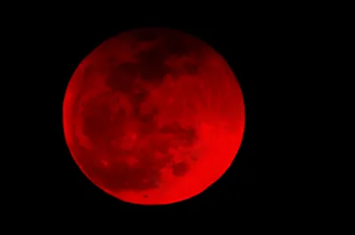 Total Lunar Eclipse to Bring 'blood moon' over US as Voters Head to the Polls in Midterm Elections