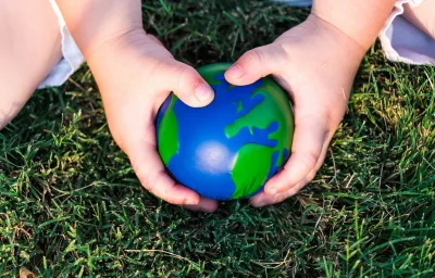 Seeking Faithful Stewardship in a Toxic Political Environment