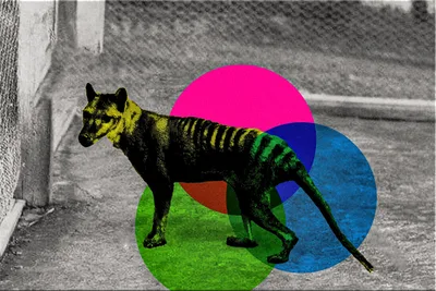 Scientists are Resurrecting Extinct Animals Now - RELEVANT