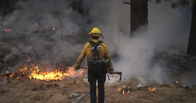 California Firefighter Charged for Arson in Wine Country