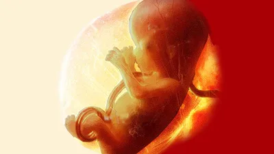 'We'll See You at the Supreme Court!' How Ohio's Heartbeat Bill Threatens Roe