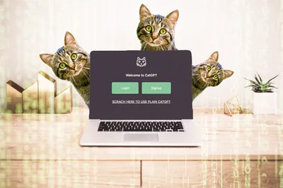 CatGPT is the AI Chatbot We've Been Waiting For - RELEVANT