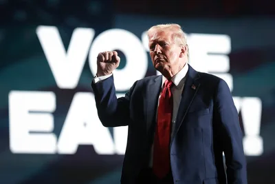 Parental Rights, IVF, Immigration: What to Expect If Trump Defeats Harris