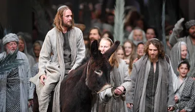 Reflecting on Jesus' Palm Sunday example of triumph